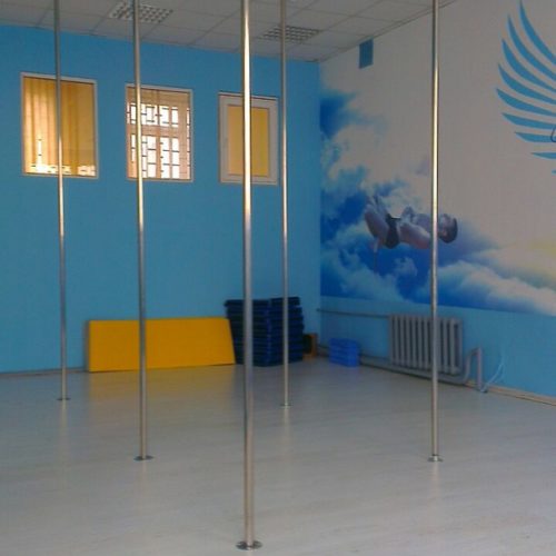 Студия танцев на пилоне в г. Киев «Heaven»