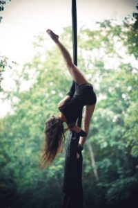 aerial silks on the tree